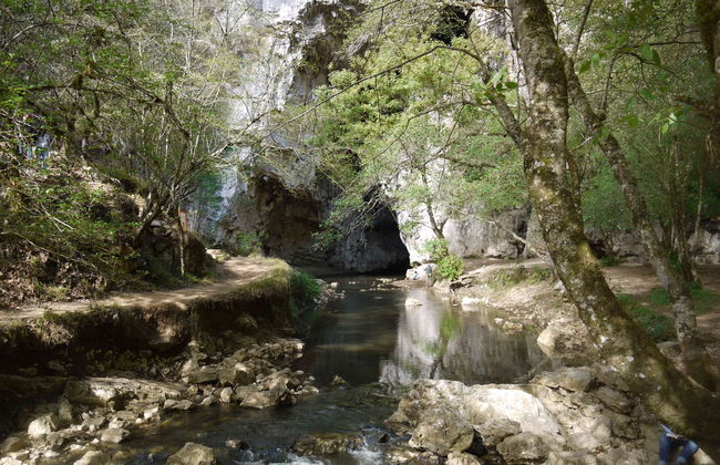 Excursión al Parque Ecoturístico Rancho Nuevo y El Arcotete - Foto 3
