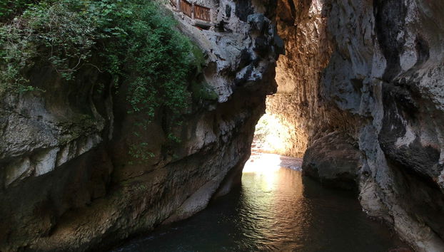 Escursione al Parque Ecoturístico Rancho Nuevo e a El Arcotete - Foto 3