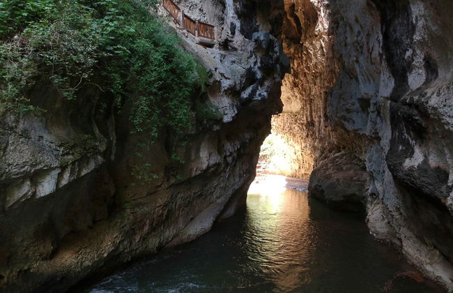 Rancho Nuevo & El Arcotete Tour - Foto 3