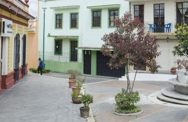 Excursión a Xalapa y Coatepec - Foto 4