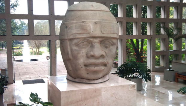 Xalapa & Coatepec Day Trip - Foto 2