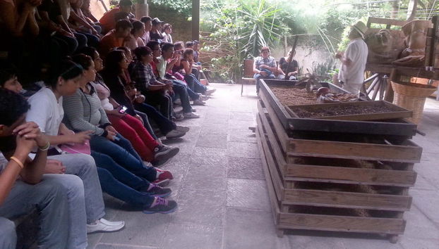 Xalapa & Coatepec Day Trip - Foto 4