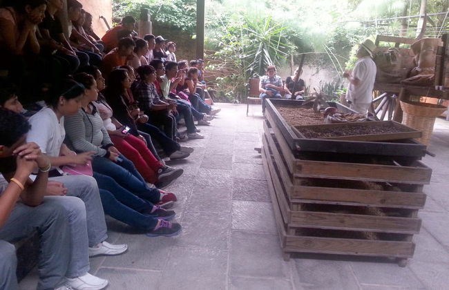 Xalapa & Coatepec Day Trip - Foto 4