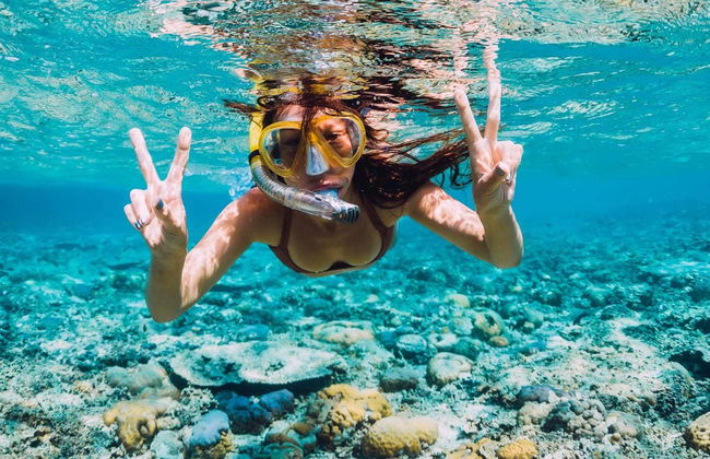 Snorkel en la isla de Enmedio - Foto 1