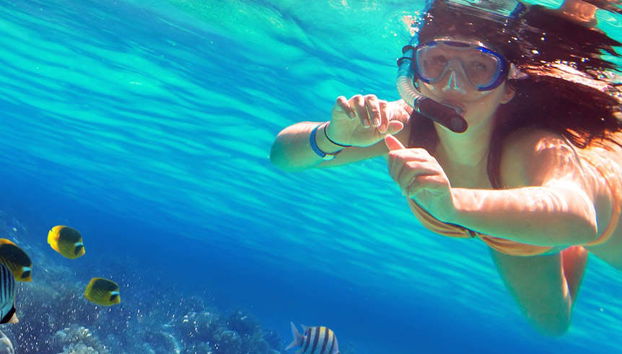 Snorkel at Isla de Enmedio - Photo 5