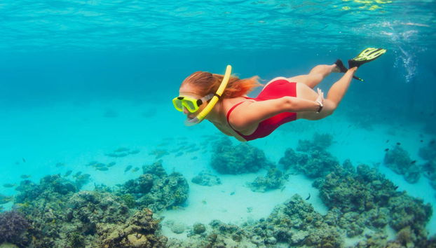 Snorkel at Isla de Enmedio - Photo 2
