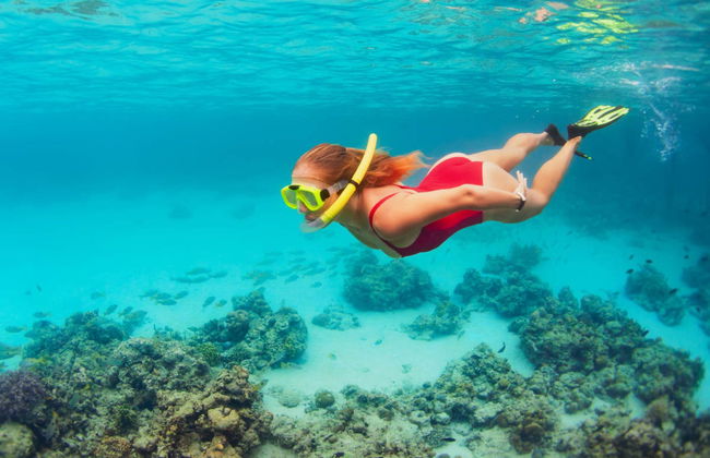 Snorkel en la isla de Enmedio - Foto 2
