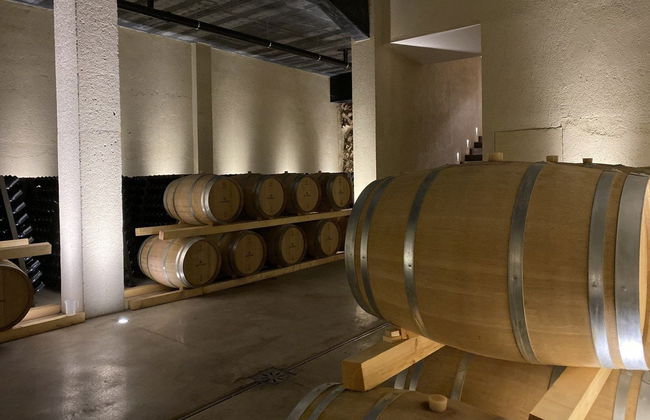 Visite à la découverte du vin d'Olbia - Photo 5