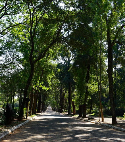 Foto de Tour por el Jardín Botánico de Asunción
