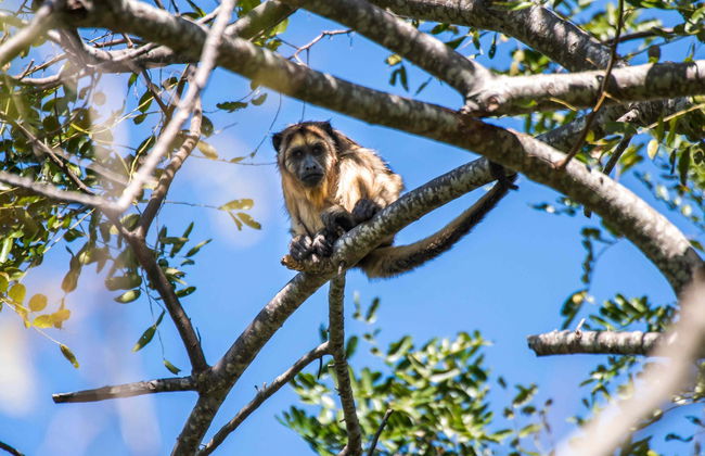 Tour por el Jardín Botánico de Asunción - Foto 4