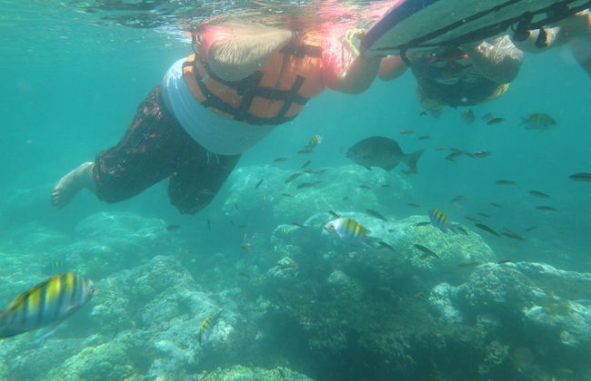Zihuatanejo Bay Kayaking & Snorkelling - Photo 7