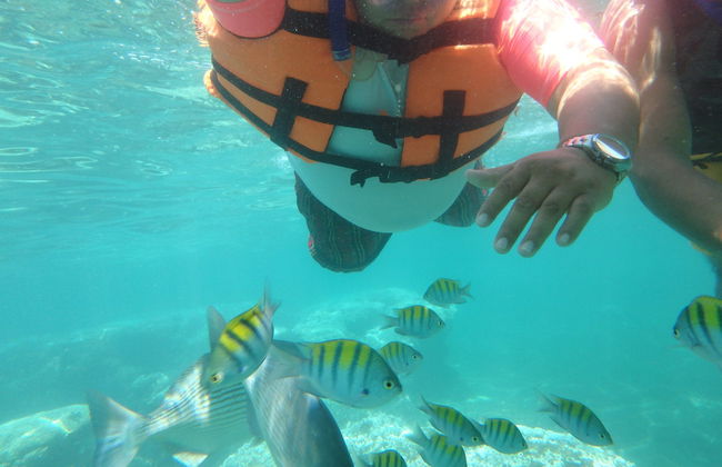 Zihuatanejo Bay Kayaking & Snorkelling - Photo 4