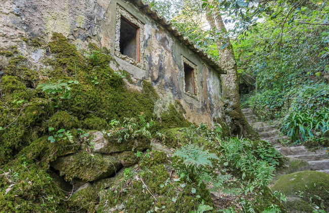 Sintra-Cascais Natural Park Bike Tour - Foto 5