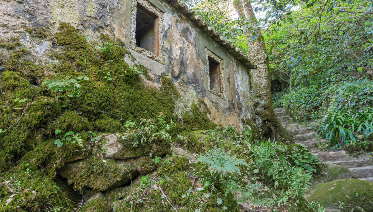 Tour del Parco naturale di Sintra-Cascais in bici - Foto 1