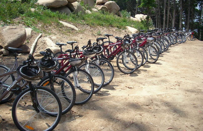 Sintra-Cascais Natural Park Bike Tour - Photo 2