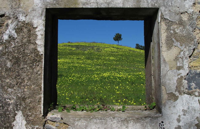 Sintra-Cascais Natural Park Bike Tour - Foto 1