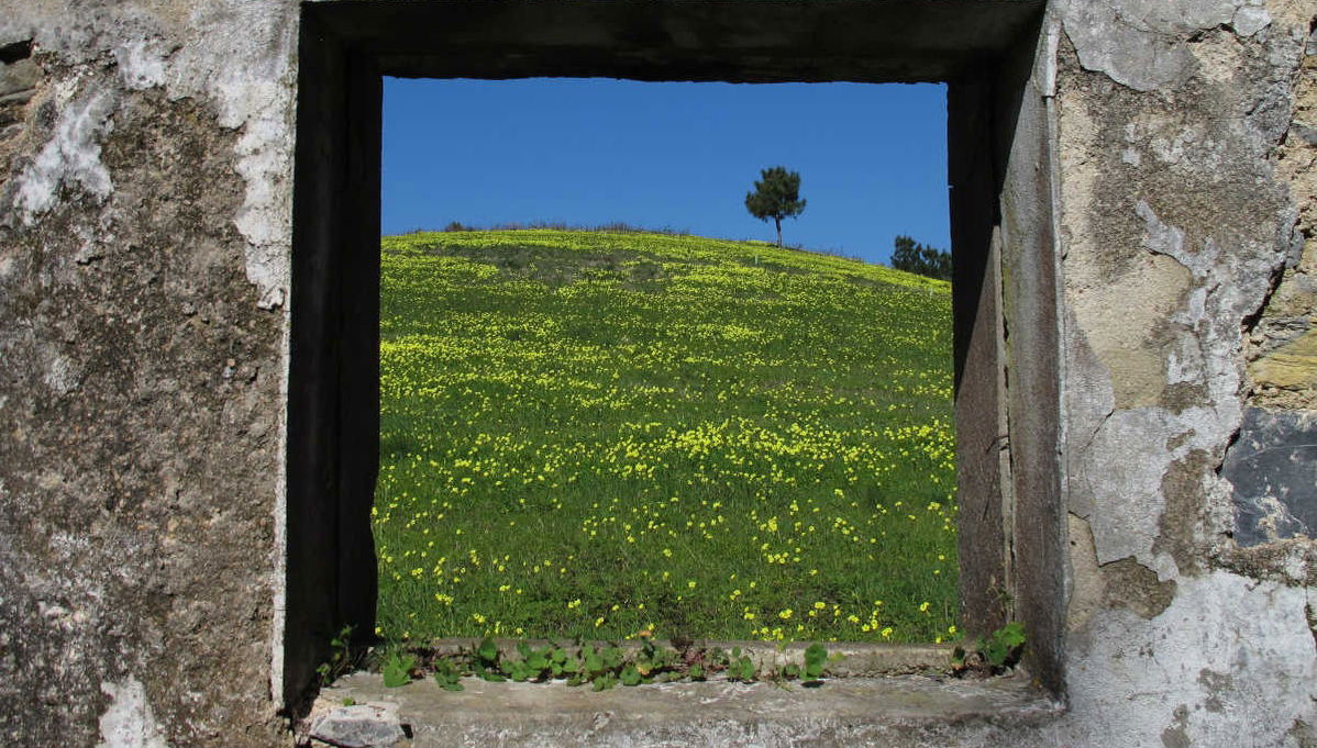 Tour del parco naturale di Sintra-Cascais in bici - Foto 1