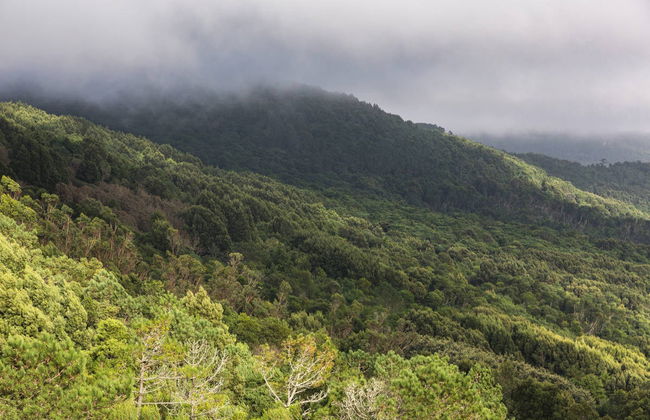 Sintra-Cascais Natural Park Bike Tour - Foto 5