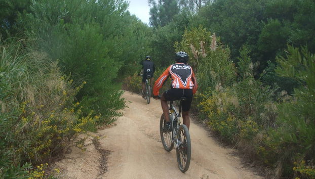 Tour del Parco naturale di Sintra-Cascais in bici - Foto 2