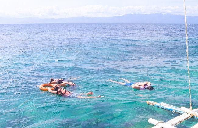Snorkeling à Moalboal - Photo 3