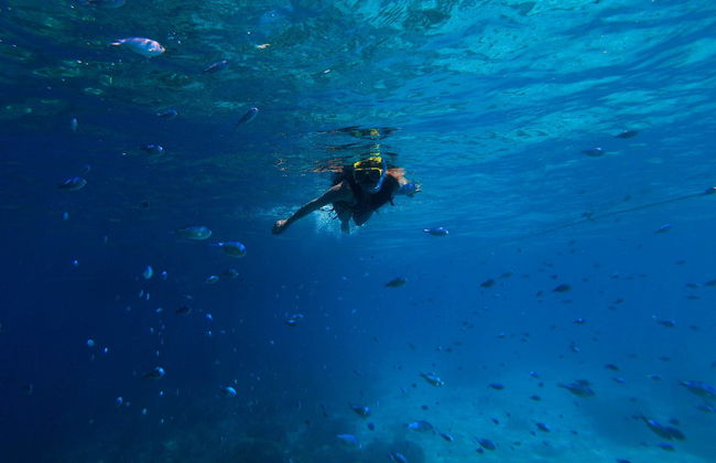 Snorkel en Moalboal - Foto 6