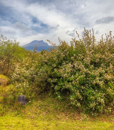 Foto de Senderismo por el Parque Nacional La Malinche