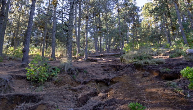 Randonnée dans le Parc National de La Malinche - Photo 2