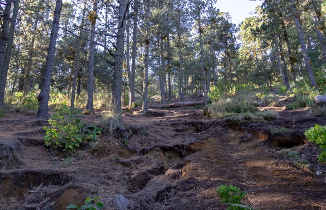 La Malinche National Park Trek - Foto 2