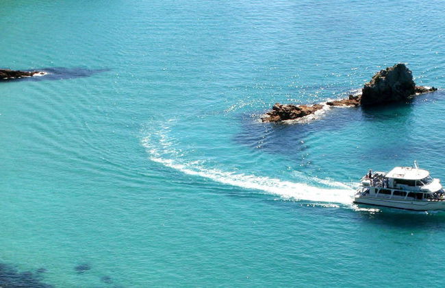 Paseo en barco por la Isla Phillip - Foto 10