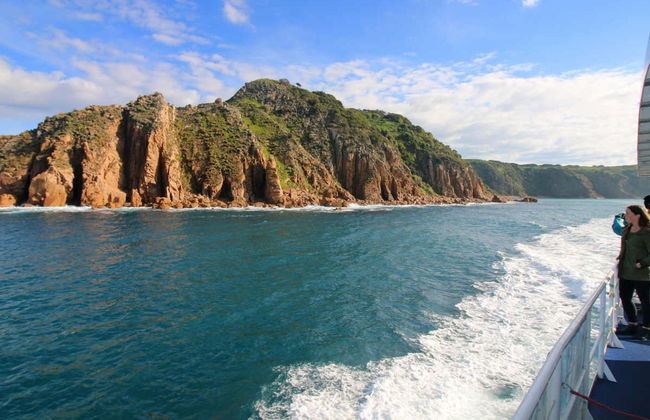 Paseo en barco por la Isla Phillip - Foto 5