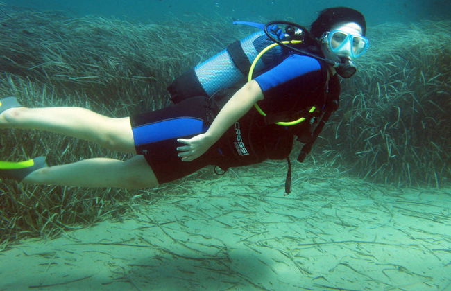 Batismo de mergulho em Nea Makri - Foto 2