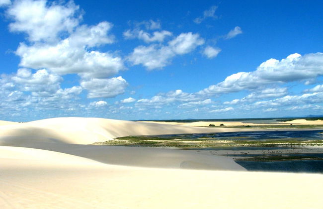 Jericoacoara Private Off-Road Buggy Tour - Photo 2