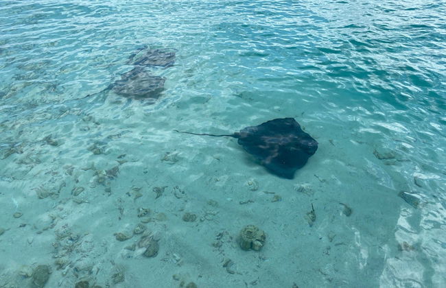 Tour por los cayos de San Andrés - Foto 6