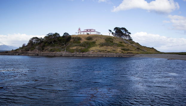 Boat Ride + Hiking in Cape Froward - Foto 3