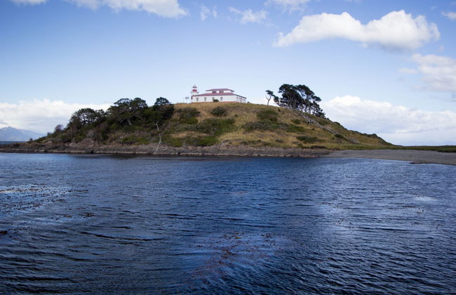 Boat Ride + Hiking in Cape Froward - Photo 3