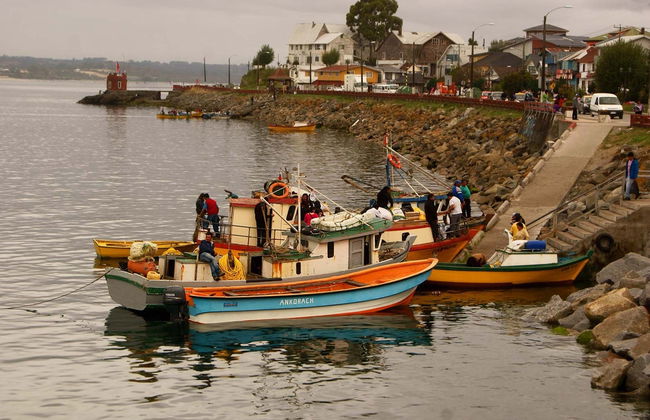 Excursão privada à ilha Calbuco - Foto 3