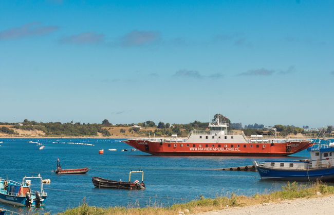 Excursão privada à ilha Calbuco - Foto 7