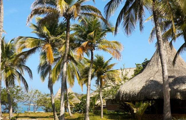 Excursión a la Isla del Pirata - Foto 4
