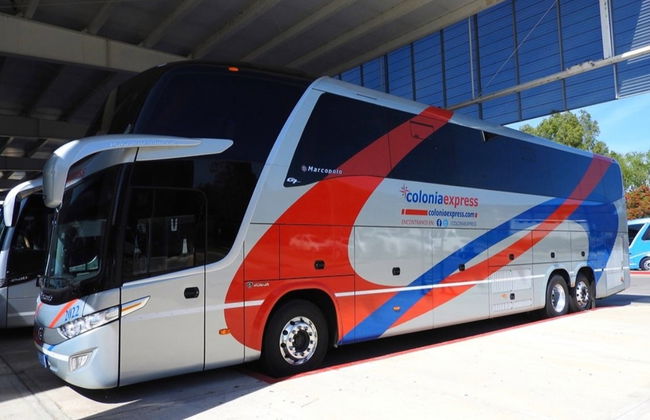 Transporte a Buenos Aires: Autobús + Ferry - Foto 2