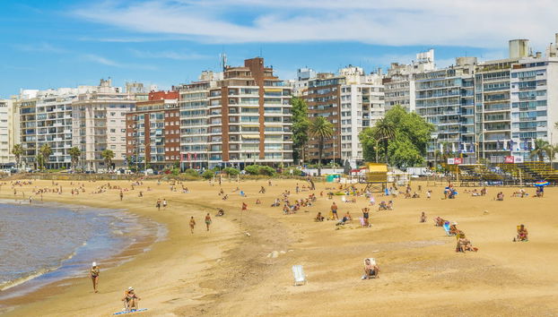 Montevideo Sightseeing Tour - Photo 2