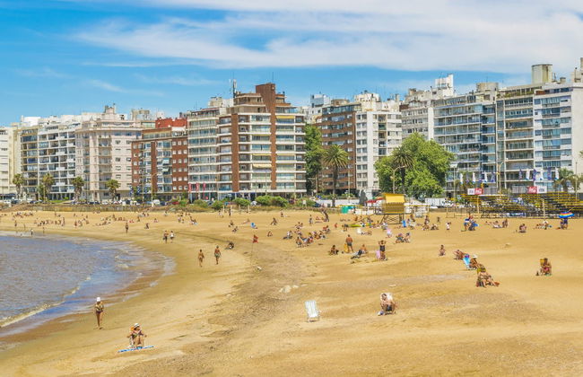 Tour panorámico por Montevideo - Foto 2