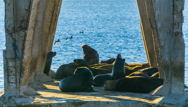 Tour della Valparaíso alternativa - Foto 2
