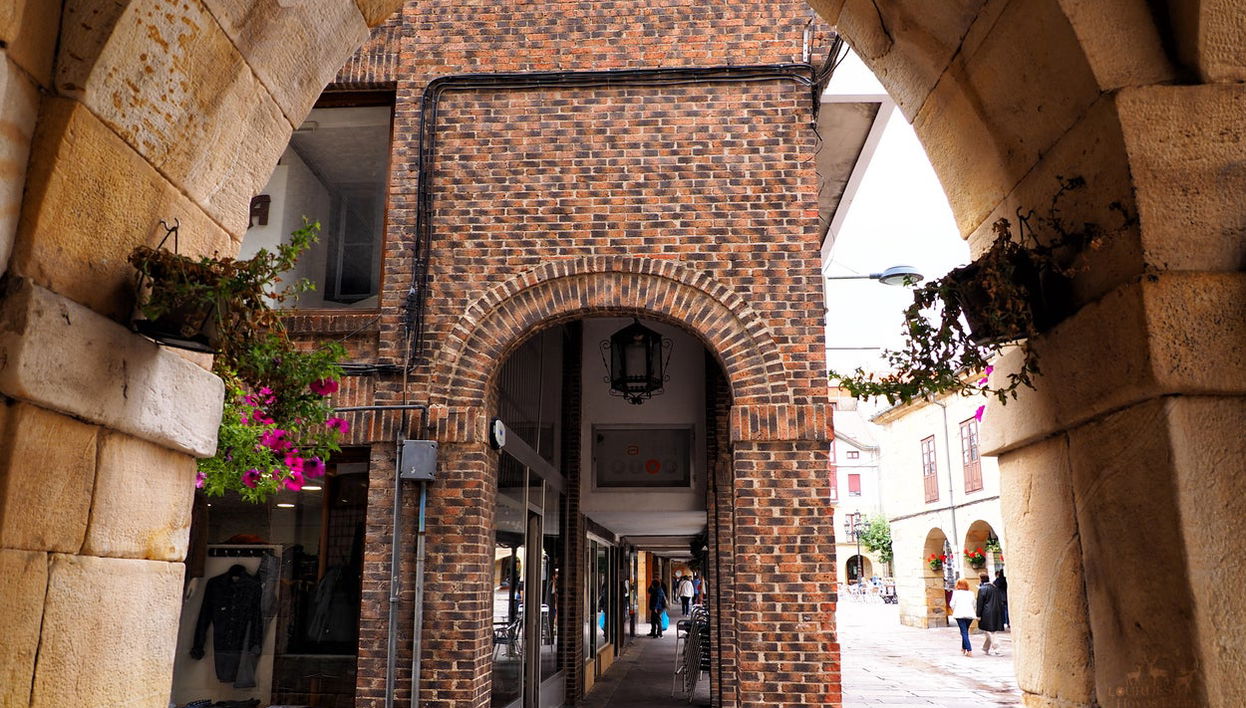 Tour privado por Reinosa - Foto 1