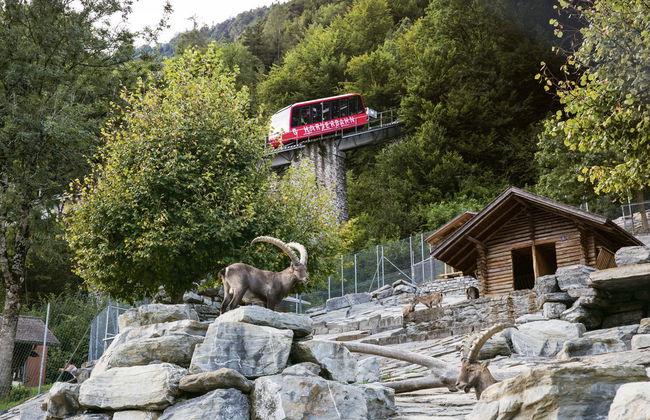 Jungfrau Travel Pass - Unlimited Travel - Photo 5
