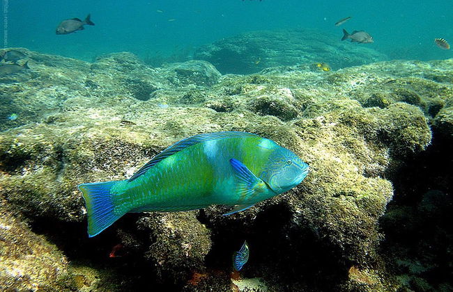Trilha pela Enseada dos Abreus e piscinas naturais - Foto 6