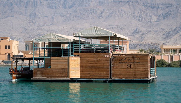 Visite d'un élevage de perles de culture Suwaidi - Photo 2