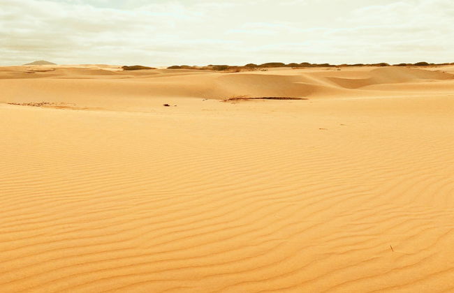 Playa de Santa Mónica, desierto de Viana y cuevas de Varandinha - Foto 2