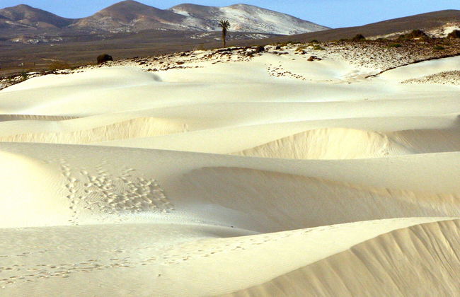 Playa de Santa Mónica, desierto de Viana y cuevas de Varandinha - Foto 8