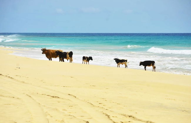 Playa de Santa Mónica, desierto de Viana y cuevas de Varandinha - Foto 4