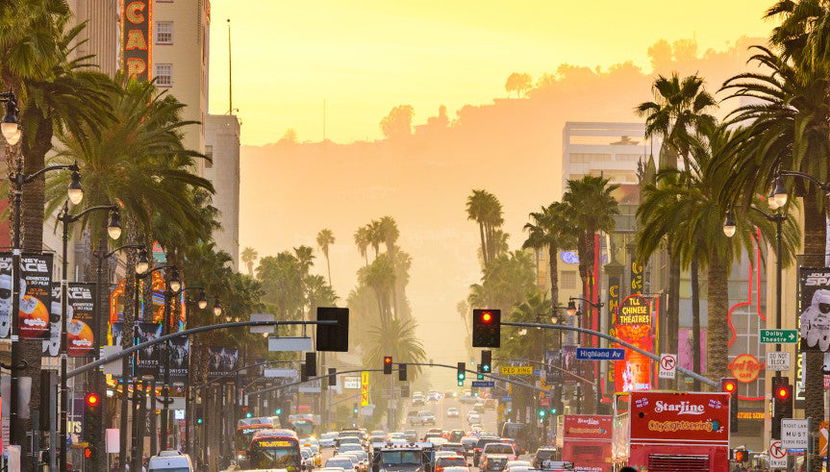 Tour privado por Los Ángeles en vehículo - Foto 3